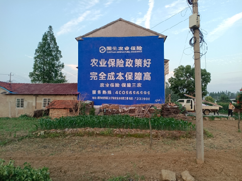 井冈山墙体广告的优劣势你知道吗？